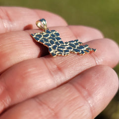 10K, 14K or 18K Gold Louisiana State Pendant