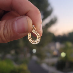 14K or 18K Gold Horseshoe Pendant