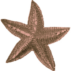 10K, 14K or 18K Gold Starfish Pendant