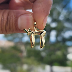 10K, 14K or 18K Gold Polished Jewish Chai Pendant