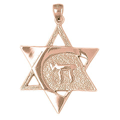 10K, 14K or 18K Gold Star of David with Chai Pendant