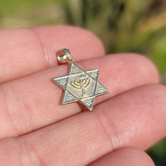14K or 18K Gold Star of David with Menorah Pendant
