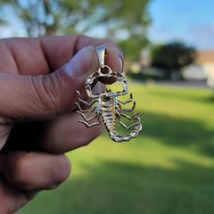 10K, 14K or 18K Gold Zodiac - Scorpio Pendant