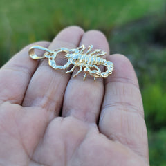 10K, 14K or 18K Gold Zodiac - Scorpio Pendant