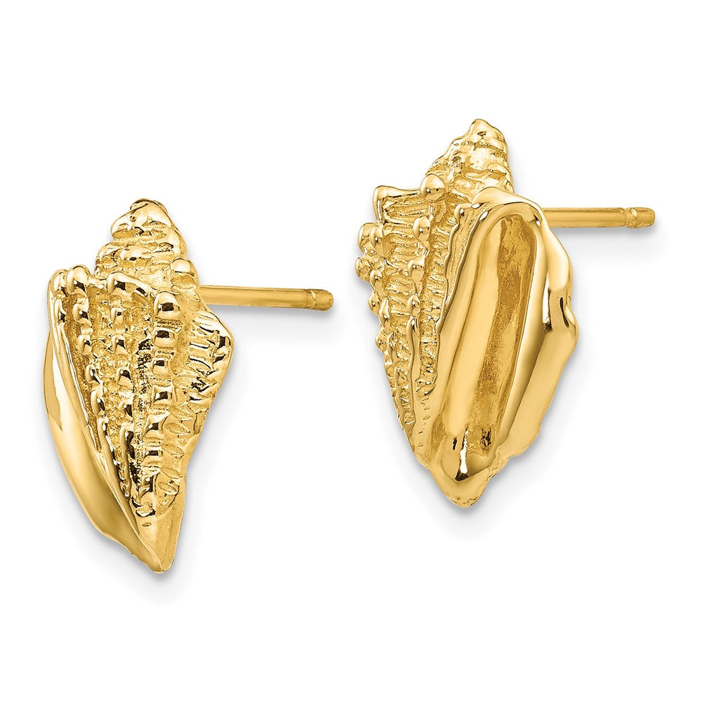 14K Yellow Gold Conch Shell Earrings