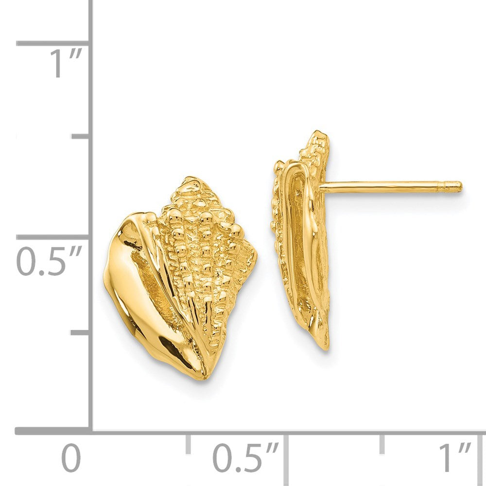 14K Yellow Gold Conch Shell Earrings