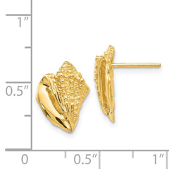 14K Yellow Gold Conch Shell Earrings