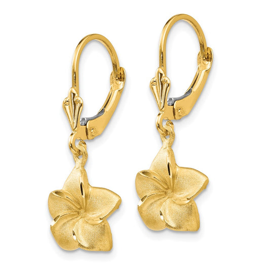 14K Yellow Gold Satin & Diamond-cut Plumeria Dangle Leverback Earrings