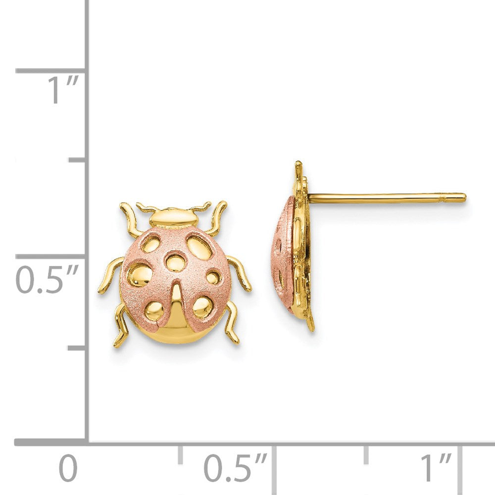 14K Two-Tone Gold Ladybug Post Earrings