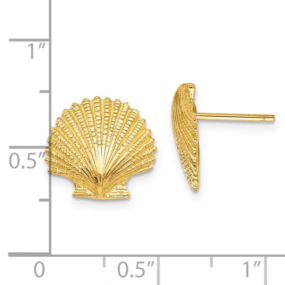 14K Yellow Gold Scallop Shell Post Earrings