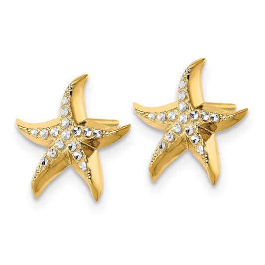 14K Two-Tone Gold Starfish Post Earrings