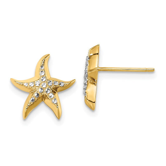 14K Two-Tone Gold Starfish Post Earrings