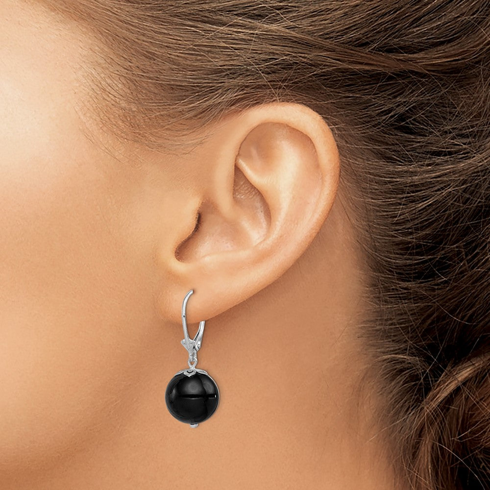 Rhodium-plated Sterling Silver Onyx Leverback Earrings