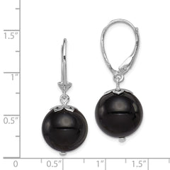 Rhodium-plated Sterling Silver Onyx Leverback Earrings