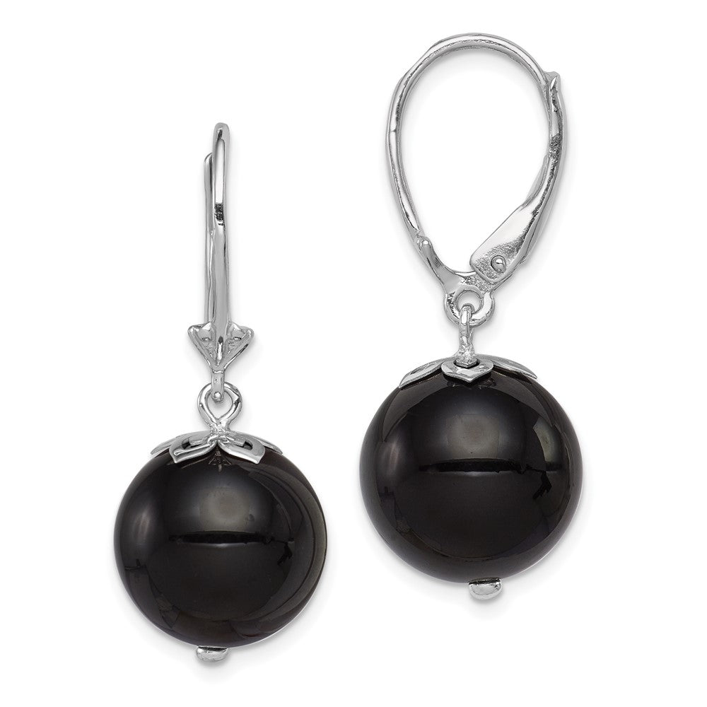 Rhodium-plated Sterling Silver Onyx Leverback Earrings