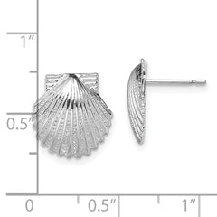 Sterling Silver Polished Scallop Shell Post Earrings
