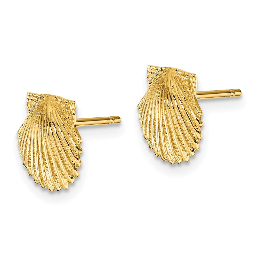 14K Yellow Gold Scallop Shell Post Earrings