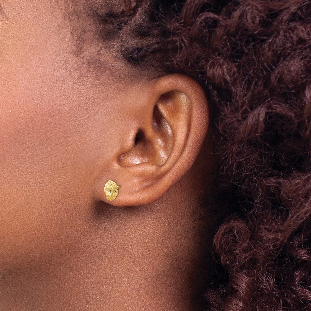 14K Yellow Gold Diamond-cut Shell Earrings