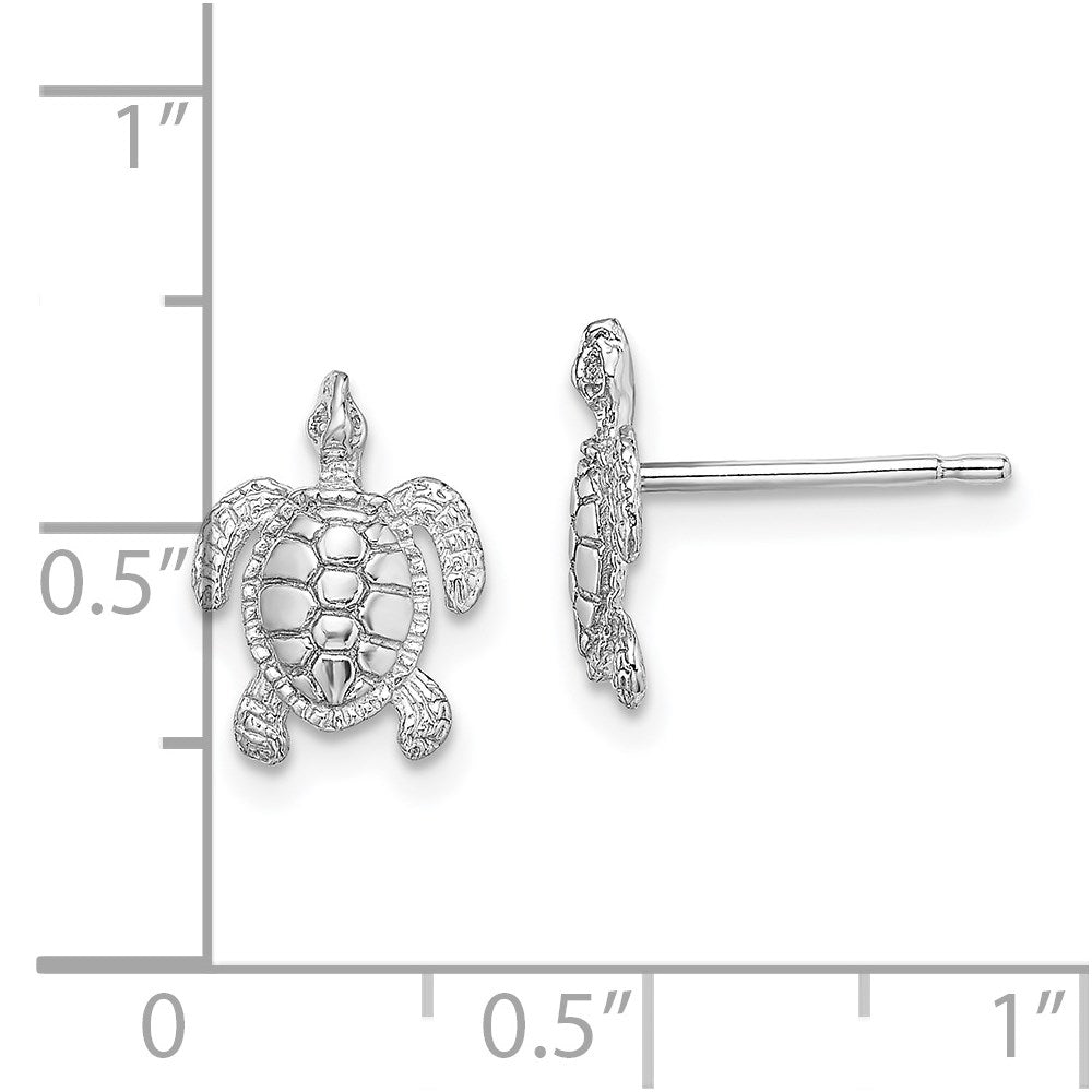 14K White Gold Polished Textured Sea Turtle Post Earrings