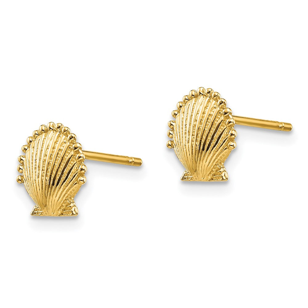 14K Yellow Gold Scallop Shell Post Earrings