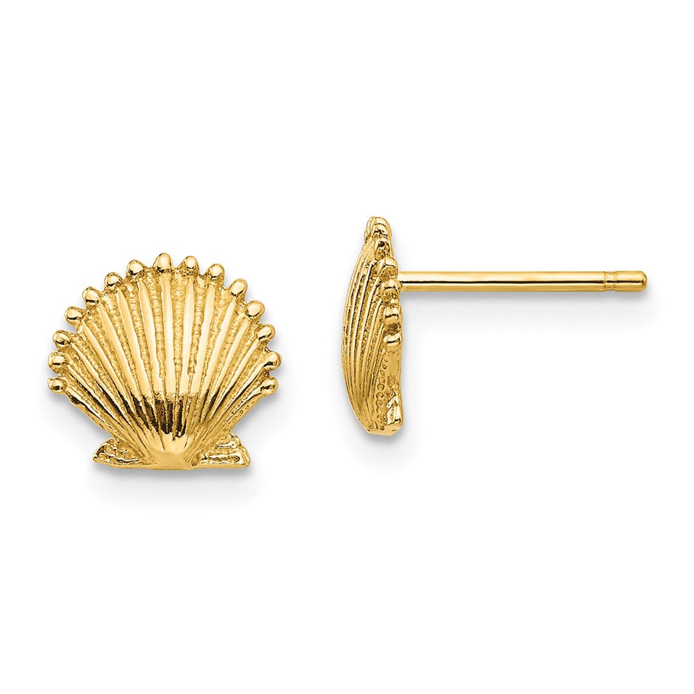 14K Yellow Gold Scallop Shell Post Earrings