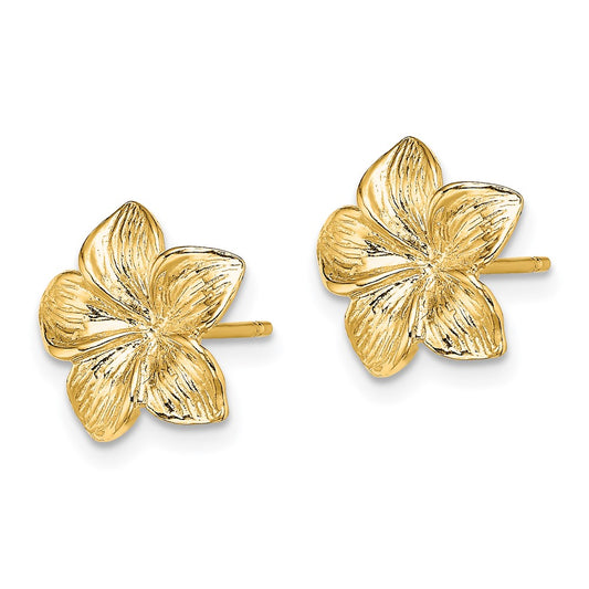 14K Yellow Gold Plumeria Flower Post Earrings