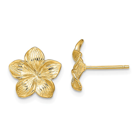 14K Yellow Gold Plumeria Flower Post Earrings