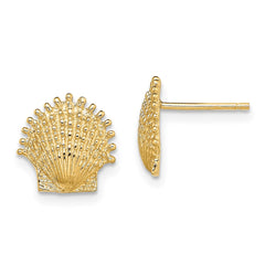 14K Yellow Gold Beaded Scallop Shell Post Earrings