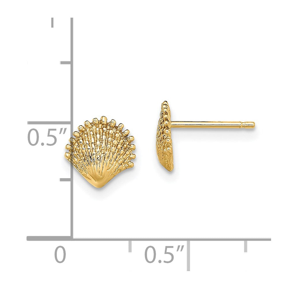 14K Yellow Gold Scallop Shell Post Earrings