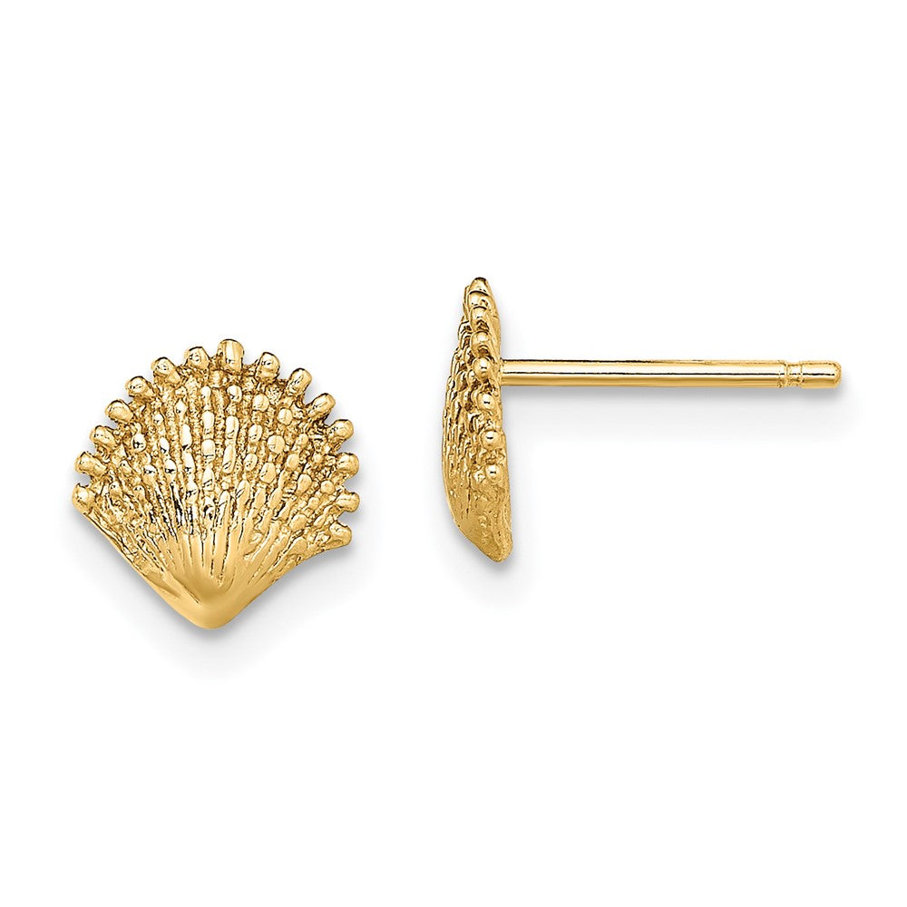 14K Yellow Gold Scallop Shell Post Earrings