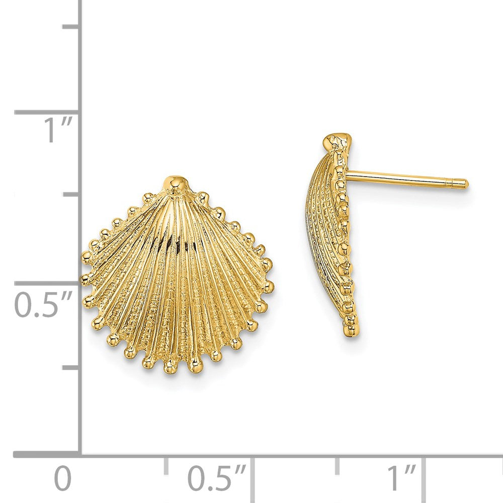 14K Yellow Gold Scallop Shell Post Earrings