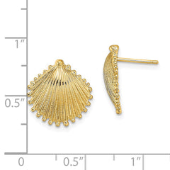 14K Yellow Gold Scallop Shell Post Earrings