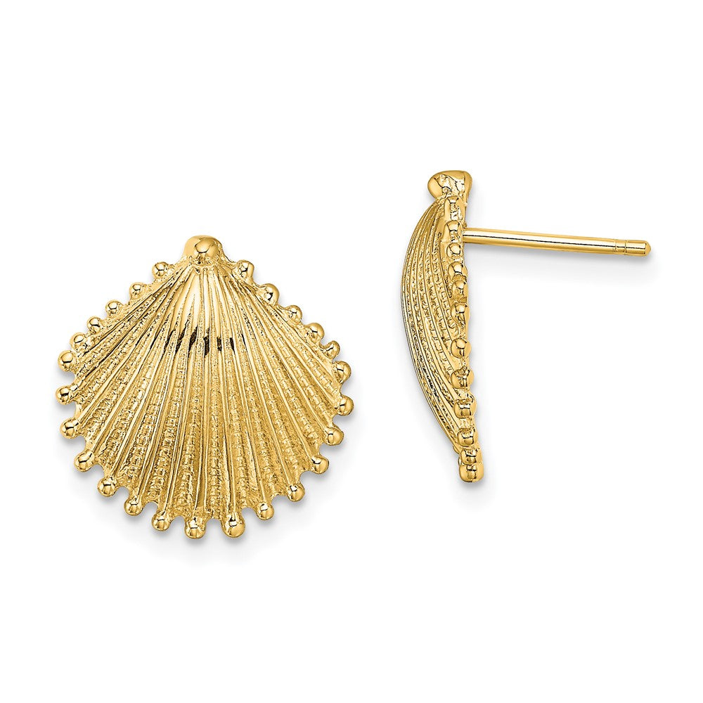 14K Yellow Gold Scallop Shell Post Earrings