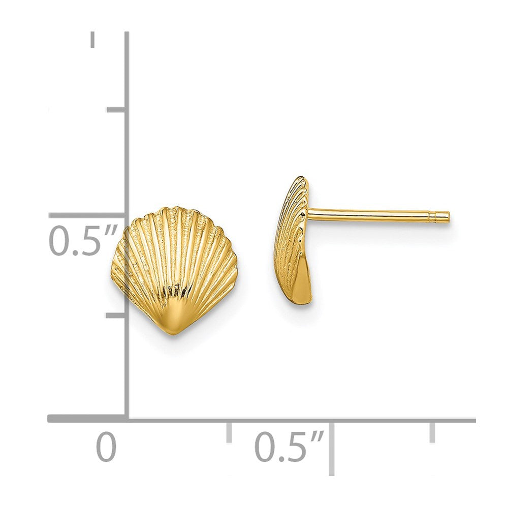 14K Yellow Gold Scallop Shell Post Earrings