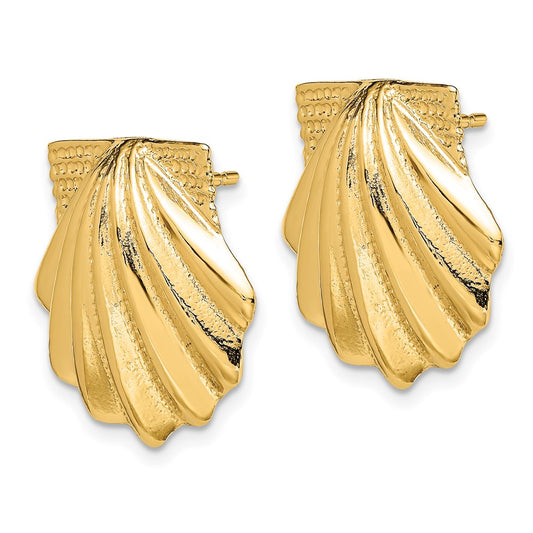 14K Yellow Gold Scallop Shell Earrings
