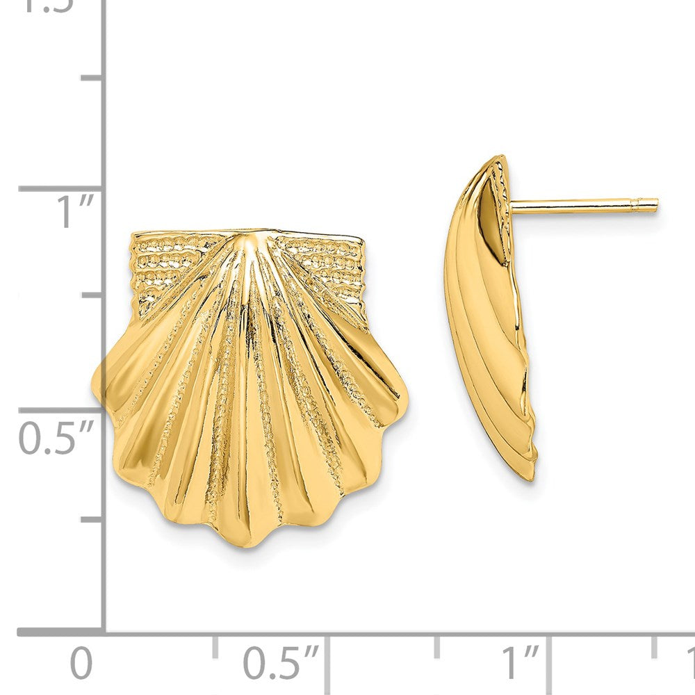 14K Yellow Gold Scallop Shell Earrings