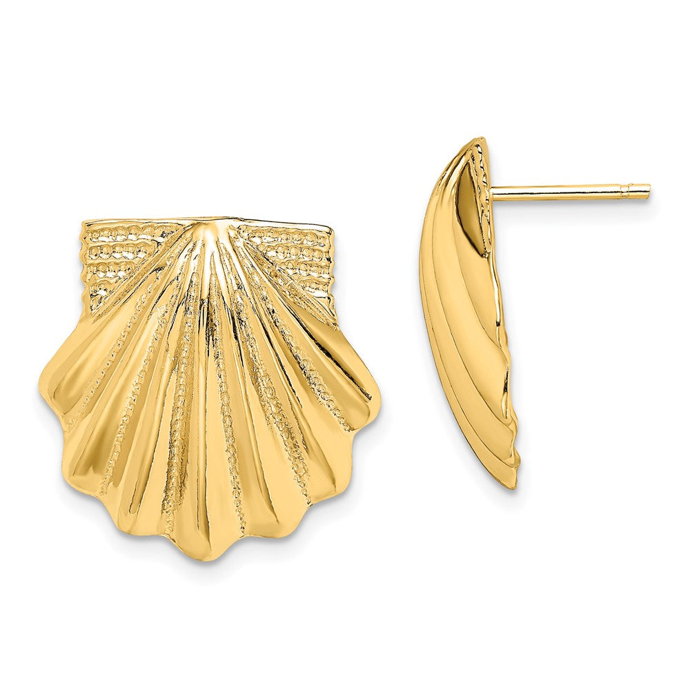 14K Yellow Gold Scallop Shell Earrings