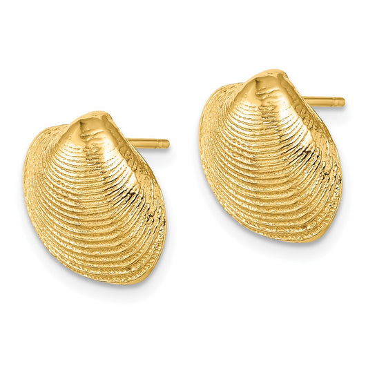 14K Yellow Gold Clam Shell Post Earrings