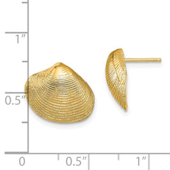 14K Yellow Gold Clam Shell Post Earrings