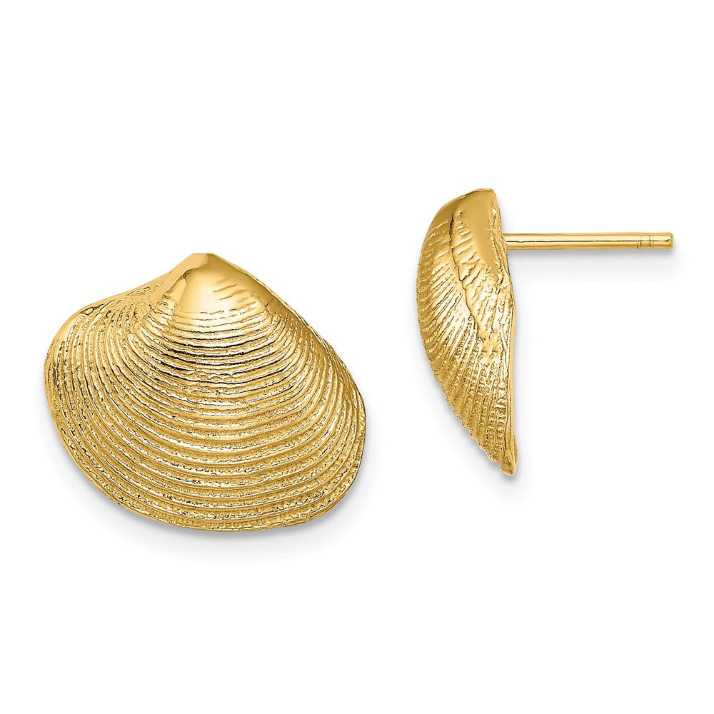 14K Yellow Gold Clam Shell Post Earrings