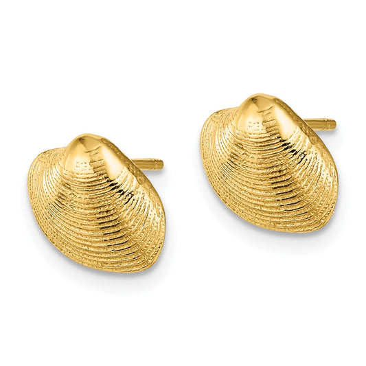 14K Yellow Gold Clam Shell Post Earrings