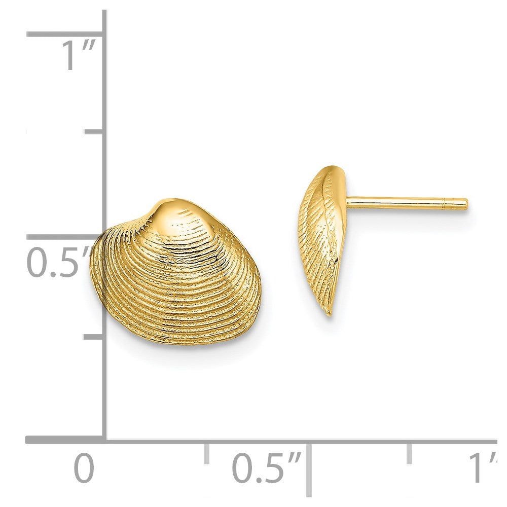 14K Yellow Gold Clam Shell Post Earrings