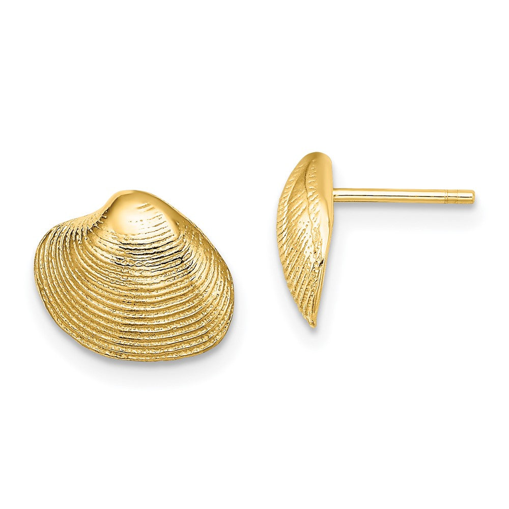 14K Yellow Gold Clam Shell Post Earrings