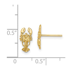 14K Yellow Gold 2D Lobster Post Earrings