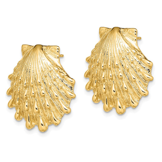 14K Yellow Gold Lion's Paw Shell Post Earrings