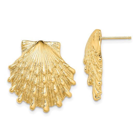 14K Yellow Gold Lion's Paw Shell Post Earrings