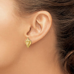 14K Yellow Gold 2D Conch Shell Post Earrings