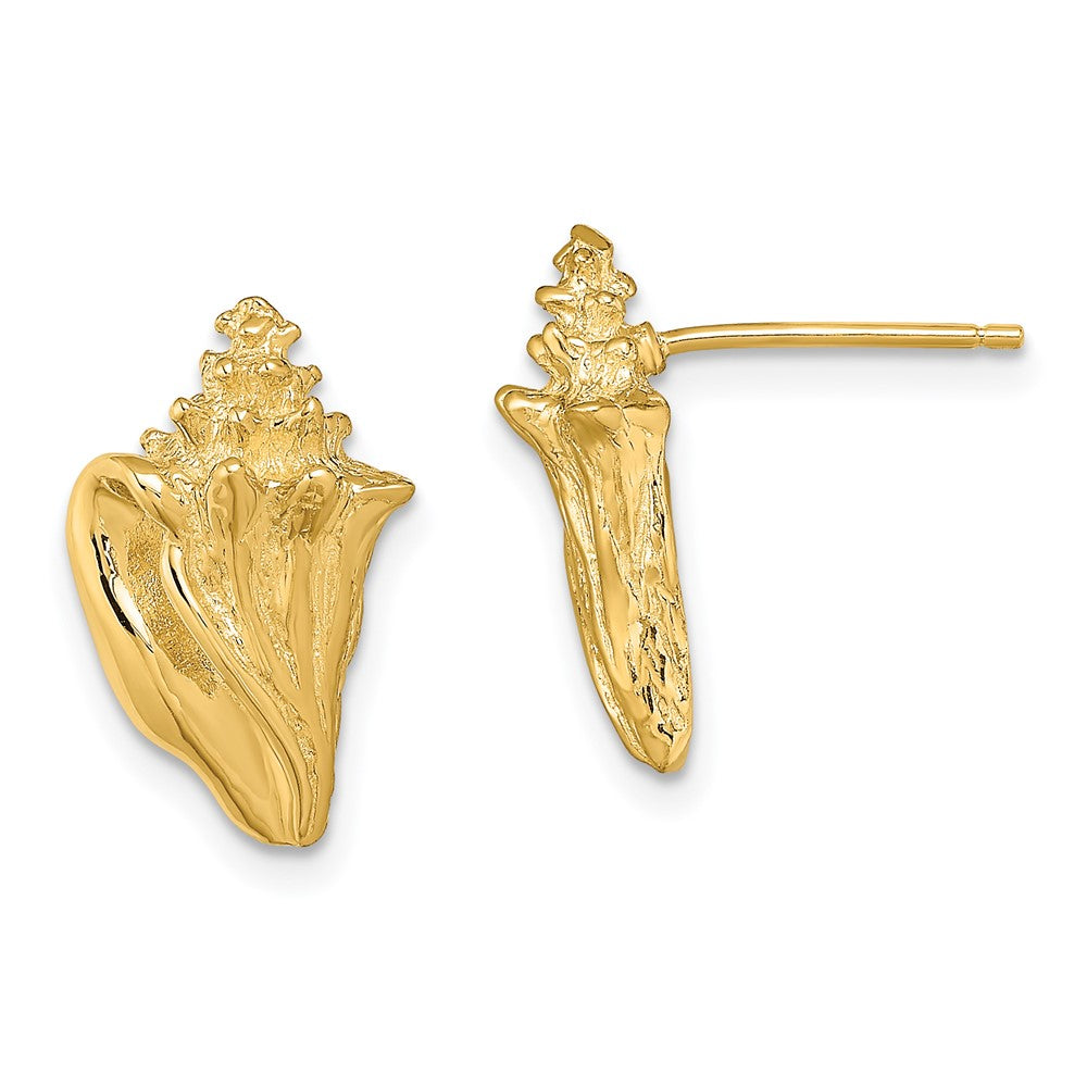 14K Yellow Gold 2D Conch Shell Post Earrings