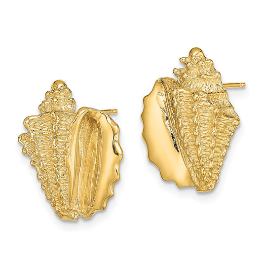 14K Yellow Gold 2D Conch Shell Post Earrings