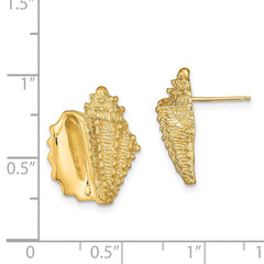 14K Yellow Gold 2D Conch Shell Post Earrings